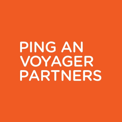 Ping An Voyager Partners